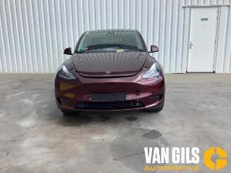 Tesla Model Y Model Y (5YJY), SUV, 2019 / 2025 Long Range RWD picture 2