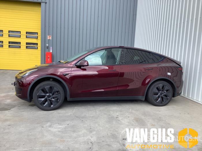 Tesla Model Y Model Y (5YJY), SUV, 2019 / 2025 Long Range RWD