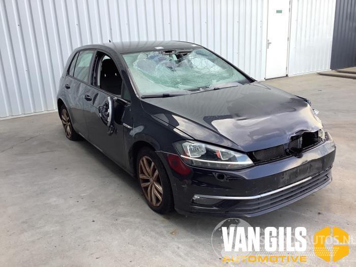 Volkswagen Golf Golf VII (AUA), Hatchback, 2012 / 2021 1.5 TSI Evo BlueMotion 16V