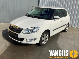 Skoda Fabia  picture 3