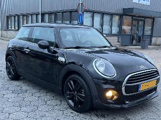 Mini One 1.5 One Salt picture 3