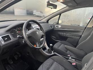 Peugeot 307 1.6-16V XS picture 13