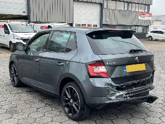 Skoda Fabia 1.2 TSI Monte Carlo picture 6