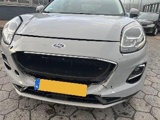 Ford Puma 1.0 EcoBoost Hybrid Titanium X picture 13