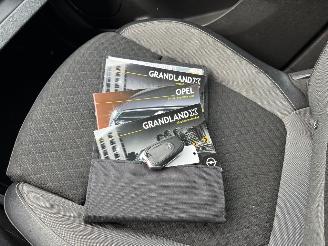 Opel Grandland X 1.2 Turbo Business Executive picture 23