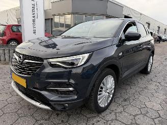 Opel Grandland X 1.2 Turbo Business Executive picture 1