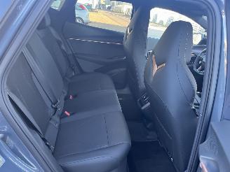 Cupra  TAVASCAN Business 82 kWh picture 11