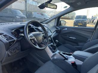 Ford C-Max 1.6 EcoBoost Titanium picture 15