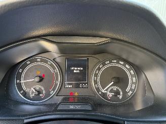 Skoda Scala 1.0 TSI Ambition picture 17