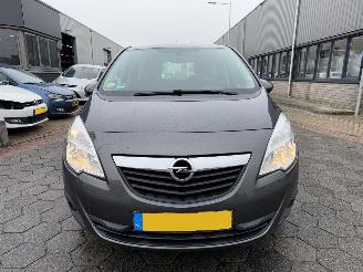 Opel Meriva 1.7 CDTi Anniversary Edition picture 2