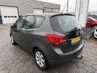 Opel Meriva 1.7 CDTi Anniversary Edition picture 6