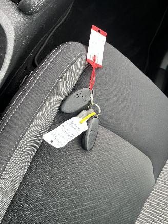 Nissan Qashqai 1.3 MHEV AUTOMAAT Xtronic Business Premium picture 13