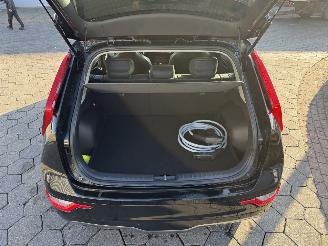 Kia Niro EV DynamicLine 64.8 kWh picture 12