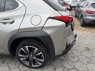 Lexus UX 250h Preference Line picture 8