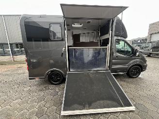 Ford Transit 2.0 2-Paards Paardenwagen AUTOMAAT picture 8