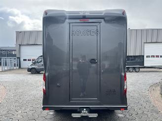 Ford Transit 2.0 2-Paards Paardenwagen AUTOMAAT picture 33