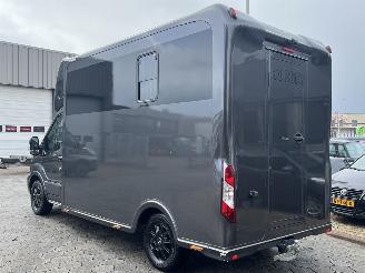 Ford Transit 2.0 2-Paards Paardenwagen AUTOMAAT picture 5