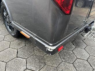 Ford Transit 2.0 2-Paards Paardenwagen AUTOMAAT picture 6