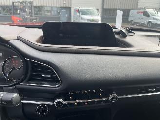 Mazda CX-30 2.0 e-SkyActiv-X M Hybrid Luxury picture 15