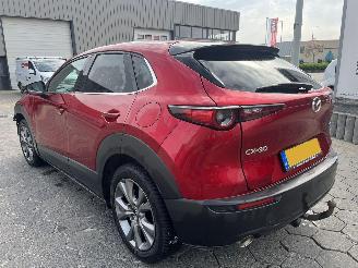Mazda CX-30 2.0 e-SkyActiv-X M Hybrid Luxury picture 5