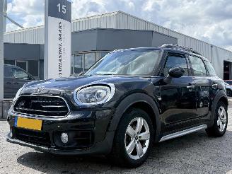 Schadeauto Mini Countryman 1.5 Cooper Dutch Made Edition AUTOMAAT 2019/5