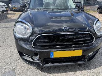 Mini Countryman 1.5 Cooper Dutch Made Edition AUTOMAAT picture 10