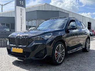 Auto incidentate BMW iX1 xDrive30 67 kWh 2023/8