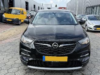 Opel Grandland X 1.2 Turbo Business Executive picture 2