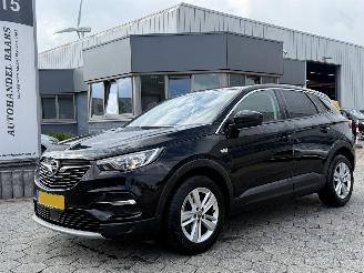 Avarii autoturisme Opel Grandland X 1.2 Turbo Business Executive 2020/1