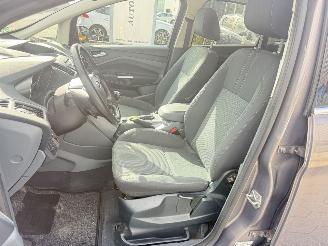Ford C-Max 1.6 EcoBoost Titanium picture 11