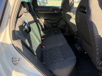 Skoda Karoq 1.5 TSI ACT Sportline Business picture 10