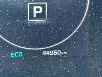 Kia Niro 1.6 GDi Hybrid ExecutiveLine picture 16