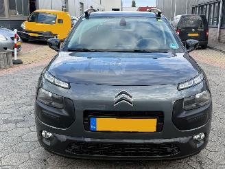 Citroën C4 cactus 1.2 PureTech Business picture 2
