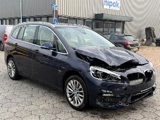 BMW 2-serie Gran Tourer 218i 7persoons High Executive Launch Edition picture 6