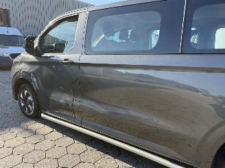 Ford Custom 340 2.5 PHEV L2H1 Trend picture 10