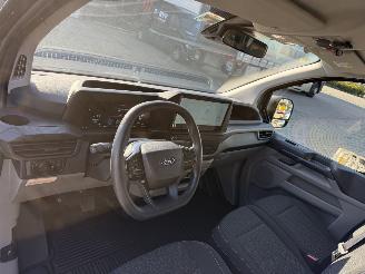 Ford Custom 340 2.5 PHEV L2H1 Trend picture 20