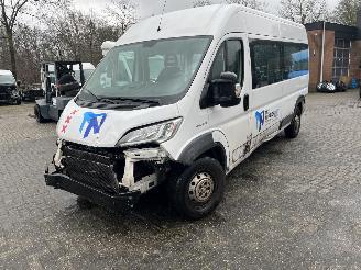 krockskadad bil bedrijf Fiat Ducato 2.3 MAXI PKW 9 PERSOONS  PLUS INVALIDE LIFT. 2018/8