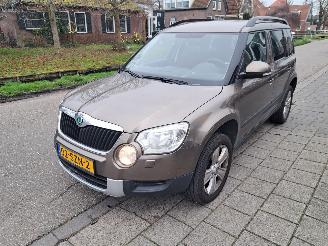 Schadeauto Skoda Yeti 1.2tsi tour 2012/1
