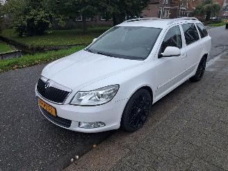 Schadeauto Skoda Octavia 1.2 tsi combi 2011/3