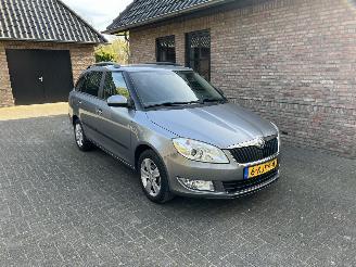 Schadeauto Skoda Fabia 1.2 TSI FRESH AIRCO 2013/5