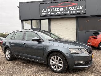 skadebil auto Skoda Octavia 1.0 TSI Greentech BusinessEdition 2019/1