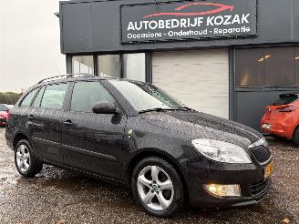 Ocazii autoturisme Skoda Fabia 1.2 TDI Greenline AIRCO NAVI CRUISE PDC 2011/3