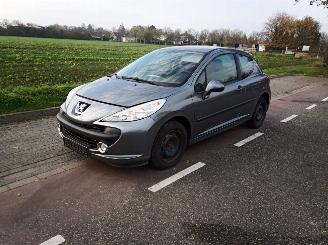 Peugeot 207 1.4 picture 2