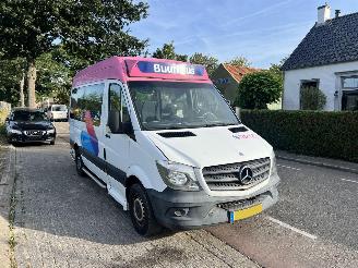 krockskadad bil bedrijf Mercedes Sprinter 313 Cdi Personenbus 2014/9