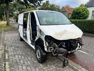 Volkswagen Transporter T6 2018/7