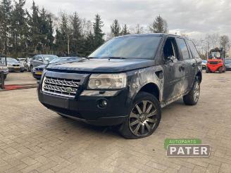 Uttjänta bilar auto Land Rover Freelander Freelander II, Terreinwagen, 2006 / 2014 2.2 td4 16V 2010/12
