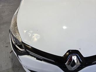 Renault Clio 1.5 dCi Nightenamp;Day picture 10