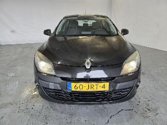 Renault Mégane 1.4 TCE Business Sp picture 2