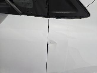 Renault Kangoo 1.5 Blue dCiadvance VAN picture 10