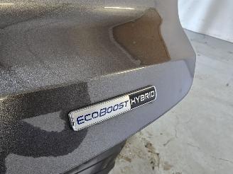 Ford Puma  picture 23